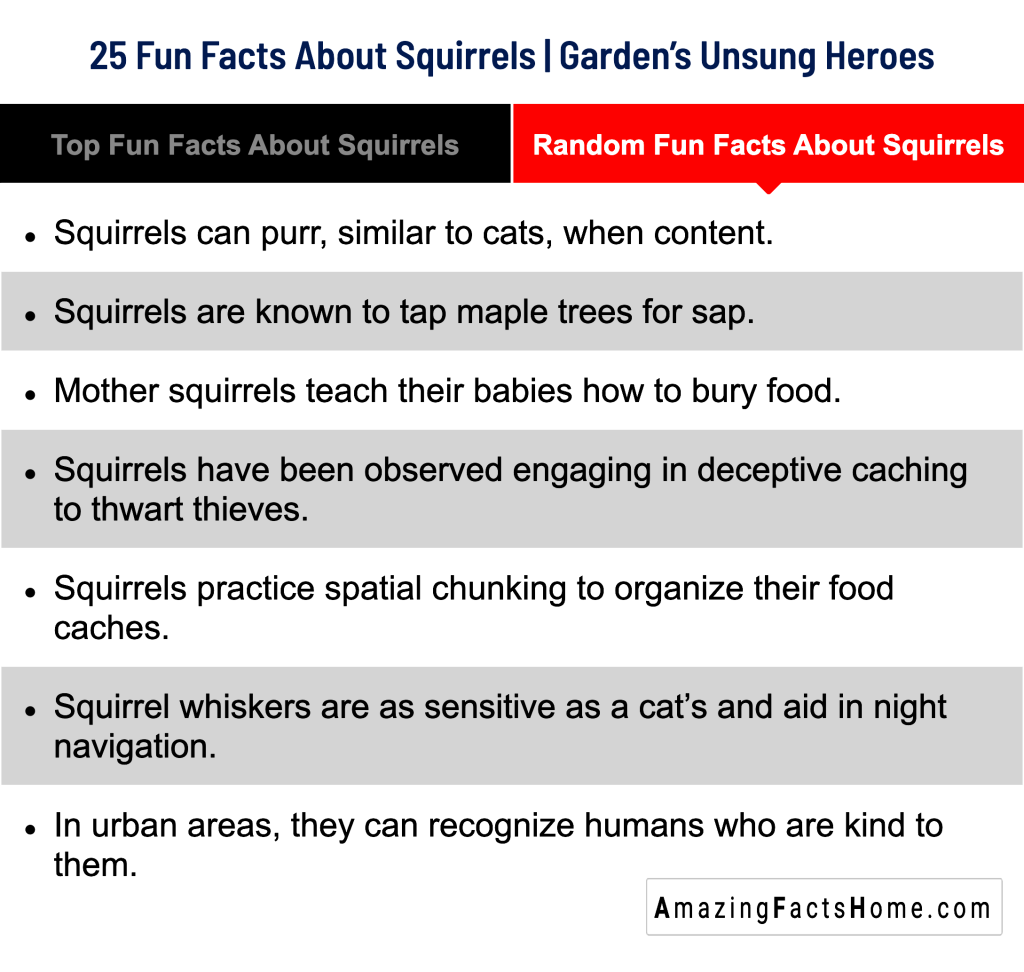 25 Fun Facts About Squirrels | Garden’s Unsung Heroes - Random Fun Facts About Squirrels