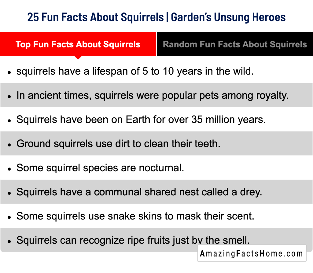 25 Fun Facts About Squirrels | Garden’s Unsung Heroes - Top Fun Facts About Squirrels