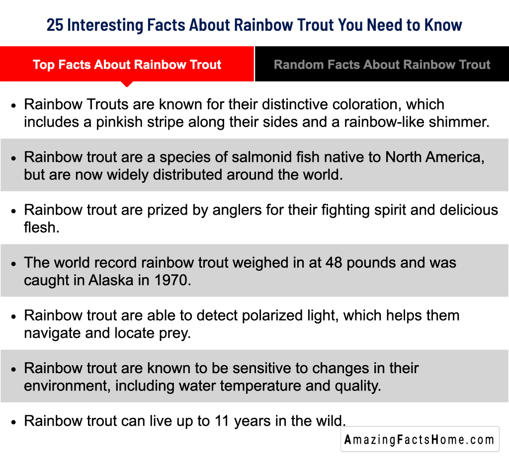 25 Interesting Facts About Rainbow Trout You Need to Know - Top Facts About Rainbow Trout