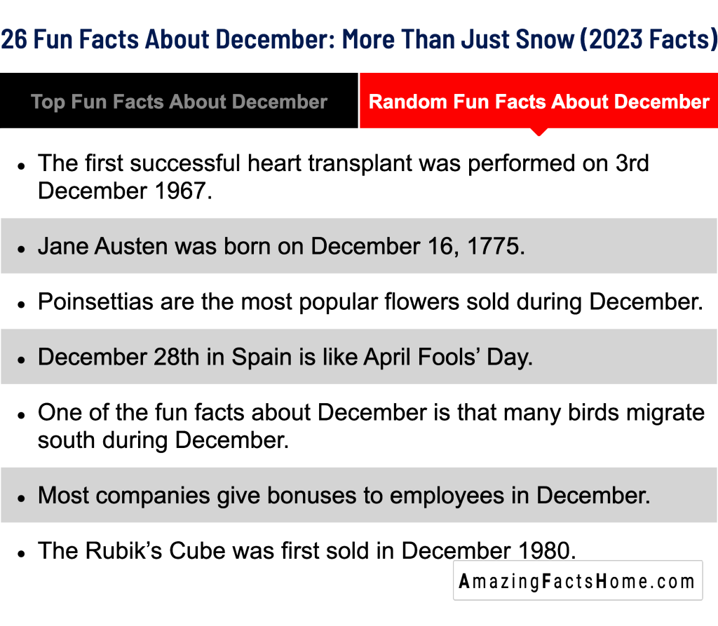 26 Fun Facts About December: More Than Just Snow (2023 Facts) - Random Fun Facts About December