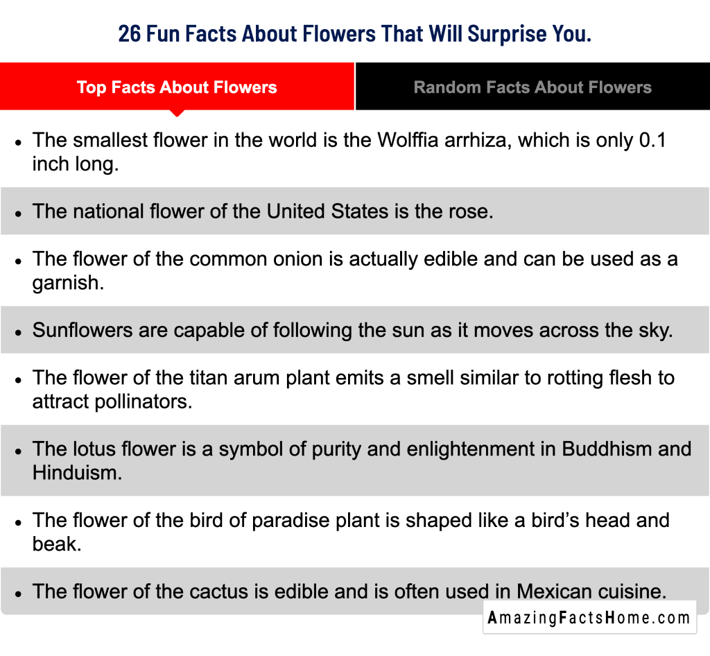 26 Fun Facts About Flowers That Will Surprise You. - Top Facts About Flowers