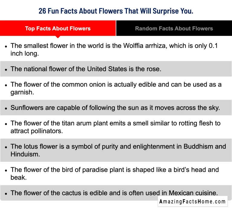 26 Fun Facts About Flowers That Will Surprise You. - Top Facts About Flowers