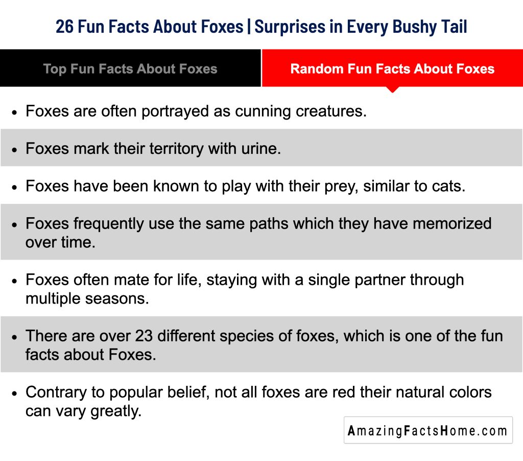 26 Fun Facts About Foxes | Surprises in Every Bushy Tail - Random Fun Facts About Foxes