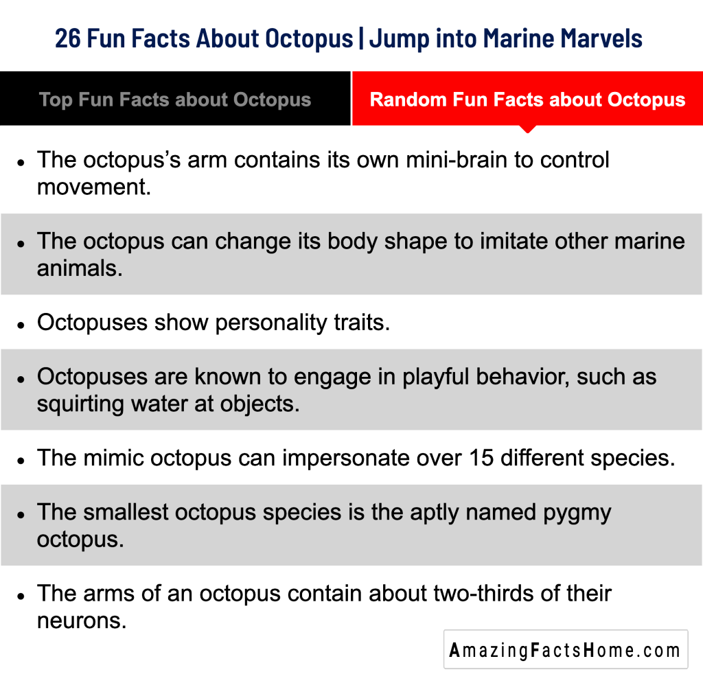 26 Fun Facts About Octopus | Jump into Marine Marvels  - Random Fun Facts about Octopus