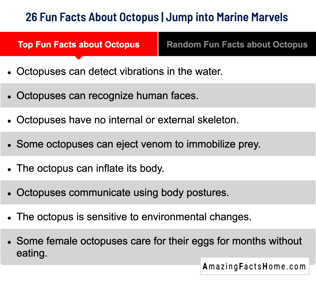 26 Fun Facts About Octopus | Jump into Marine Marvels  - Top Fun Facts about Octopus