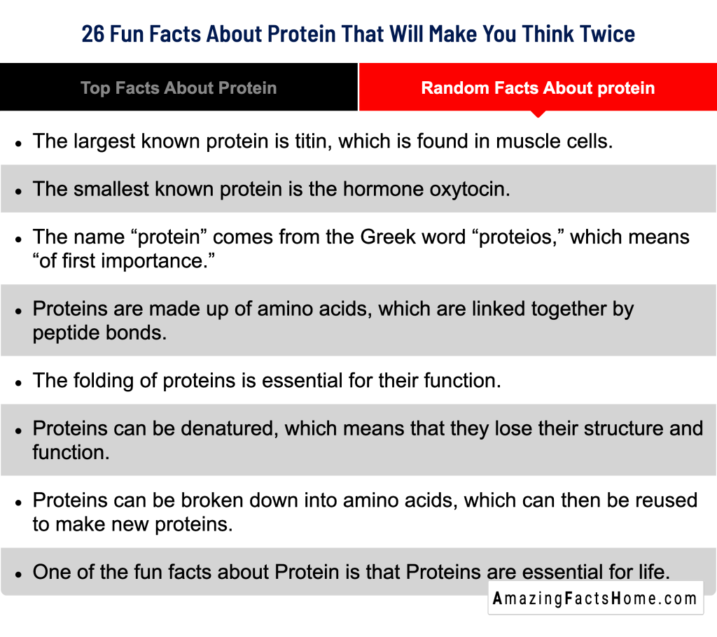 26 Fun Facts About Protein That Will Make You Think Twice - Random Facts About protein