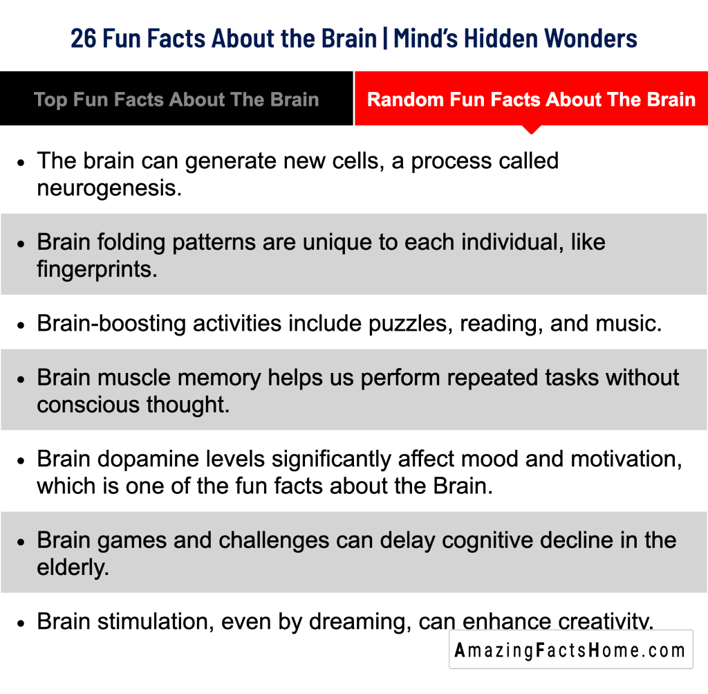 26 Fun Facts About the Brain | Mind’s Hidden Wonders - Random Fun Facts About The Brain