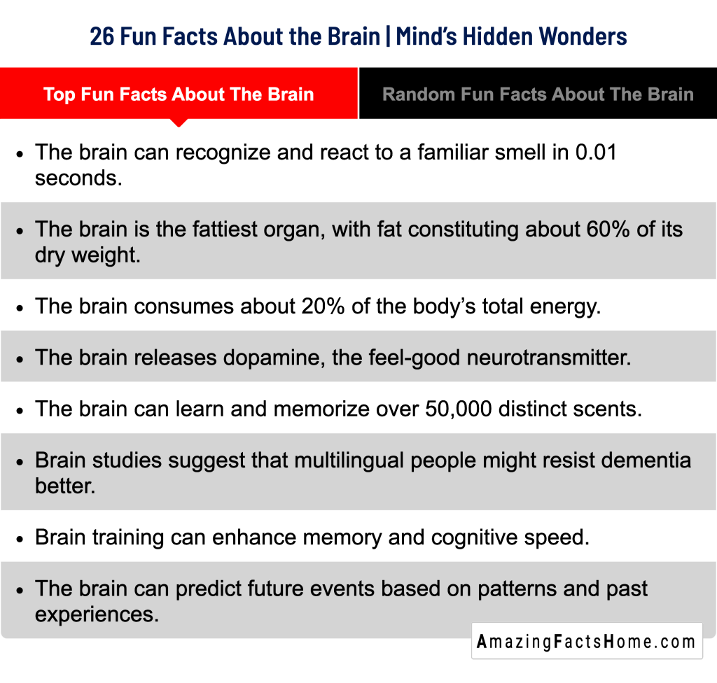 26 Fun Facts About the Brain | Mind’s Hidden Wonders - Top Fun Facts About The Brain