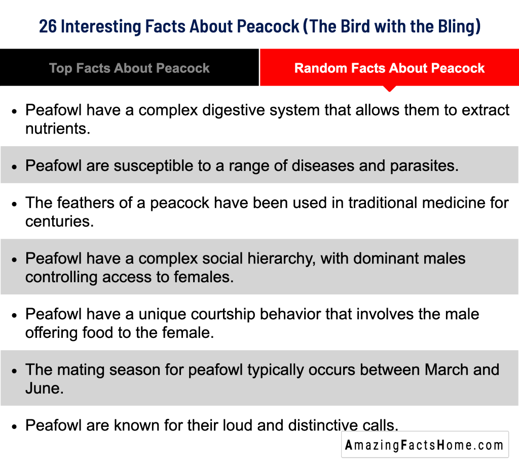 26 Interesting Facts About Peacock (The Bird with the Bling) - Random Facts About Peacock