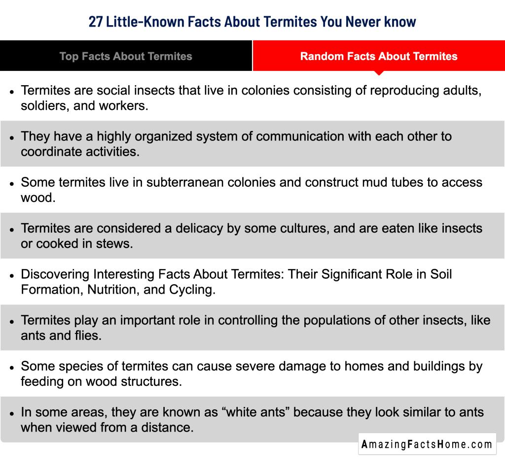 27 Little-Known Facts About Termites You Never know - Random Facts About Termites