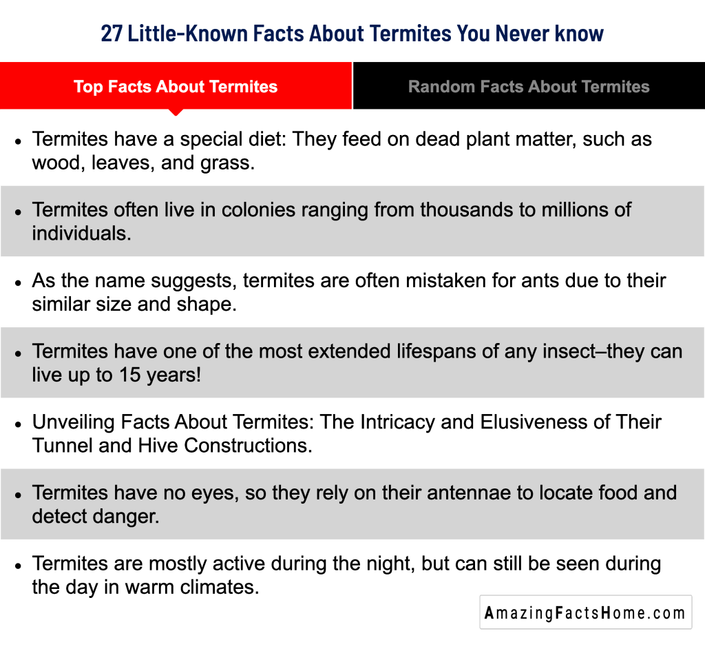 27 Little-Known Facts About Termites You Never know - Top Facts About Termites