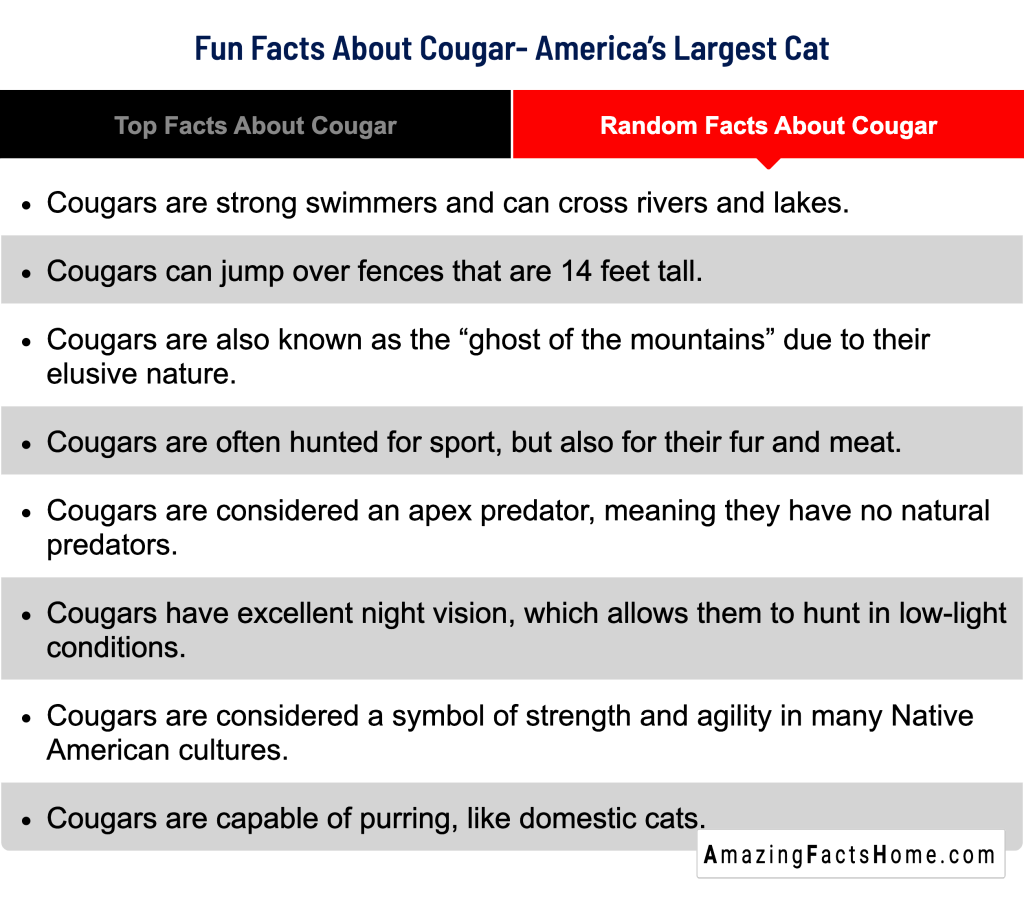 Fun Facts About Cougar- America’s Largest Cat - Random Facts About Cougar