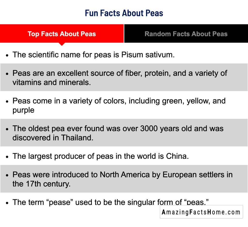 Fun Facts About Peas - Top Facts About Peas