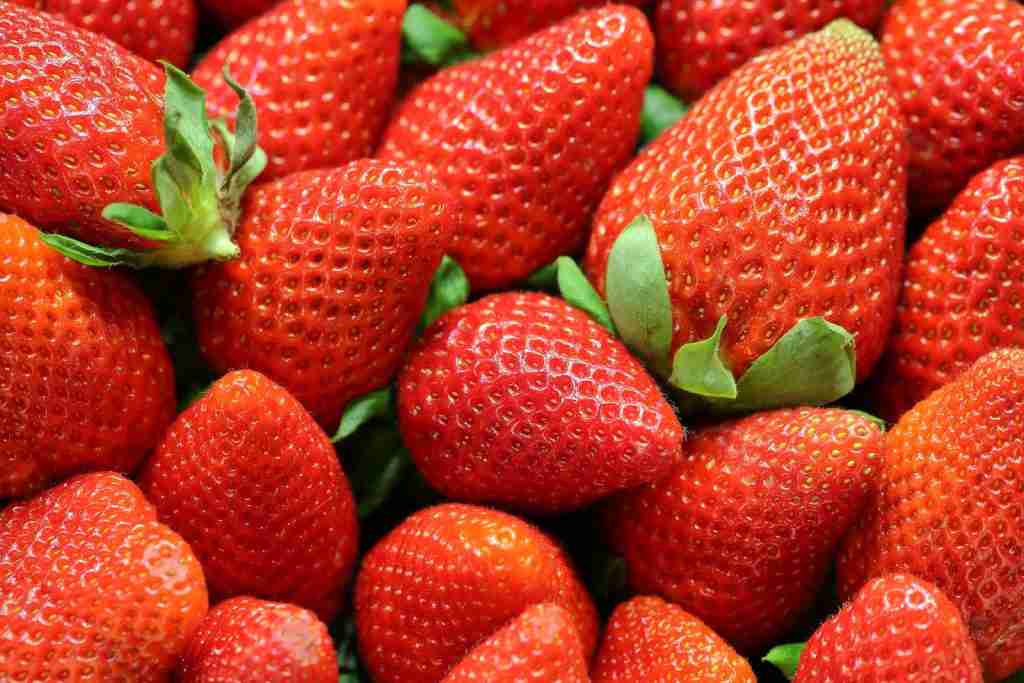 25 Fun Facts About Ariana Grande: Pop Queen's Secrets Revealed 1 strawberry lot
