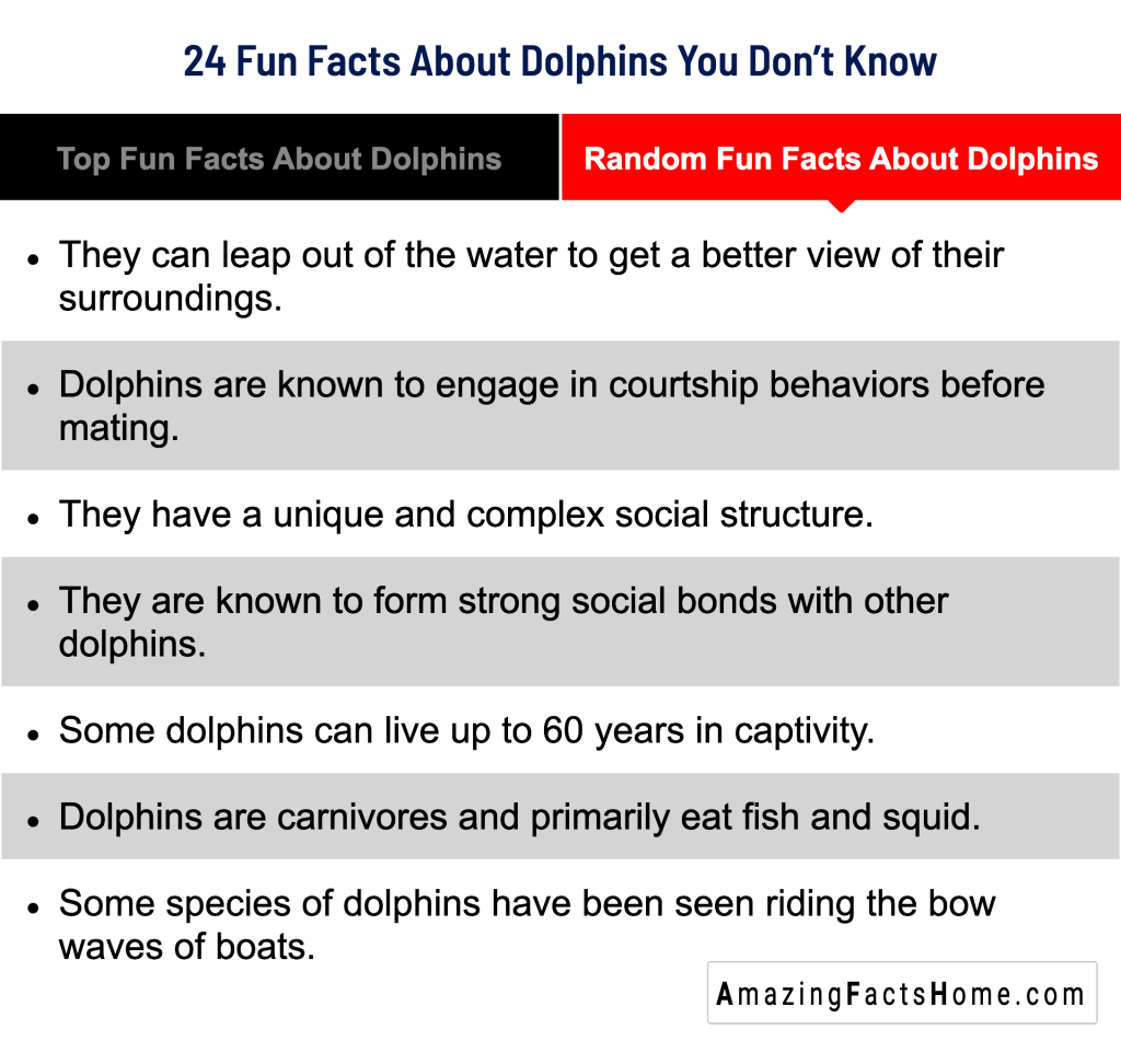 24 Fun Facts About Dolphins You Don’t Know - Random Fun Facts About Dolphins