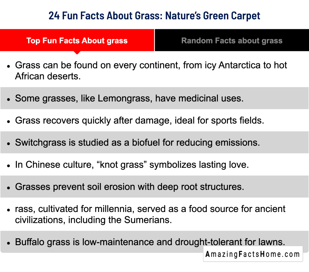 24 Fun Facts About Grass: Nature’s Green Carpet - Top Fun Facts About grass