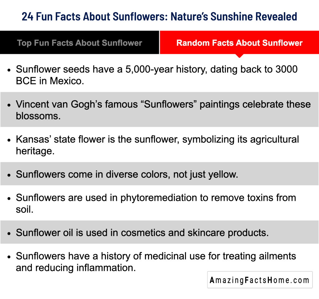 24 Fun Facts About Sunflowers: Nature’s Sunshine Revealed - Random Facts About Sunflower