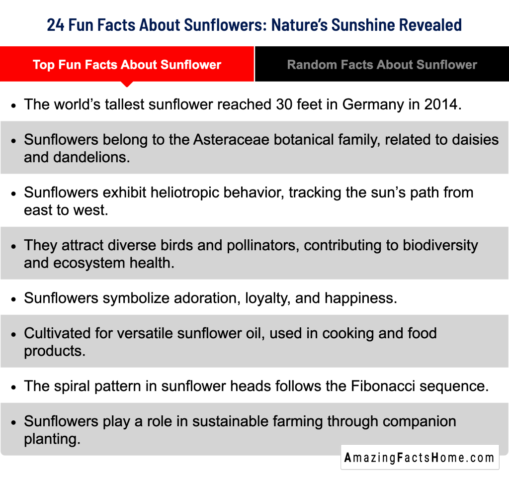 24 Fun Facts About Sunflowers: Nature’s Sunshine Revealed - Top Fun Facts About Sunflower