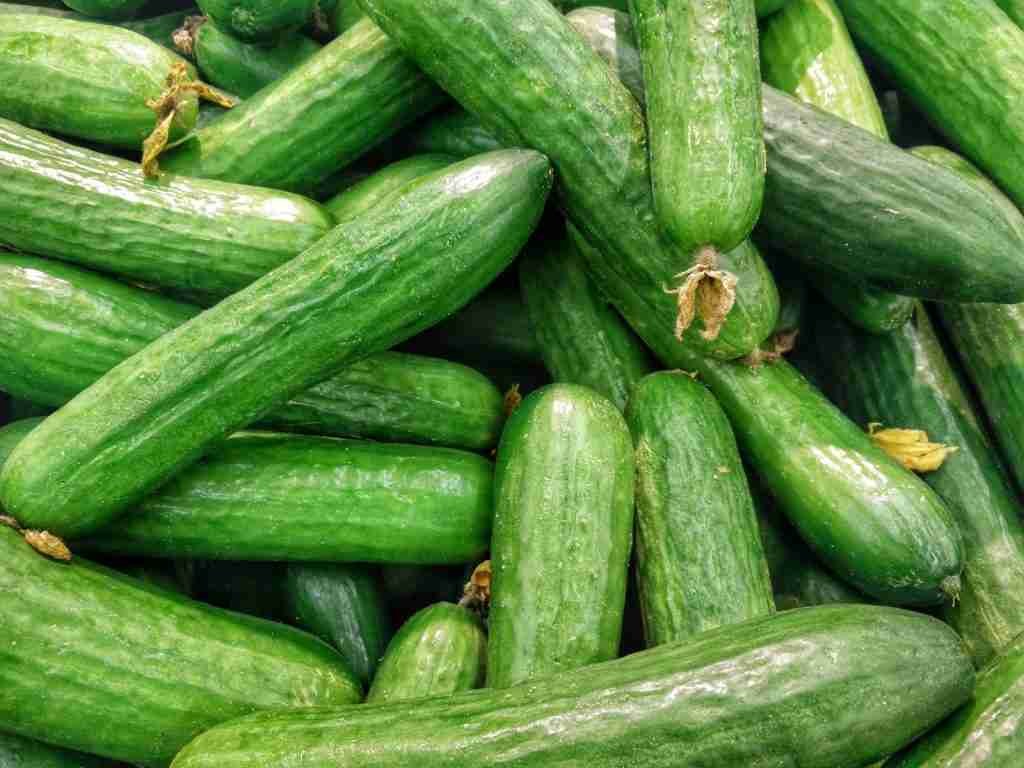 20 Fun Facts About Vegetables | Prepare to Be Amazed 1 cucumber lot : Fun Facts About Vegetables