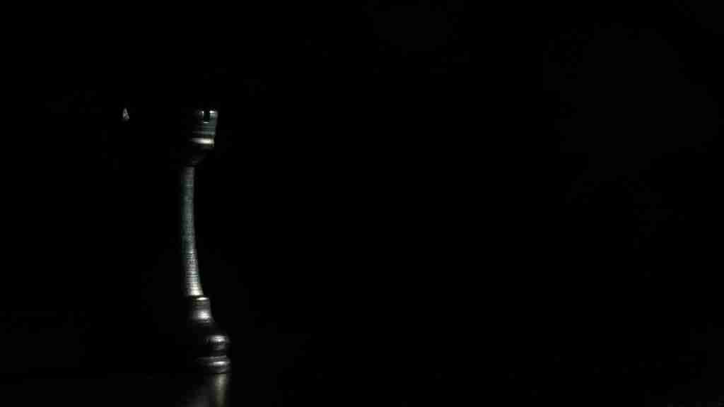 25 Fun Facts About Chess | The Game of Kings 5 black and brown wooden bottle