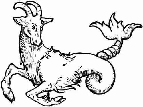 25 Fun Facts About Capricorn | What Astrologers Hide 3 sea goat portrait : Fun Facts About Capricorn