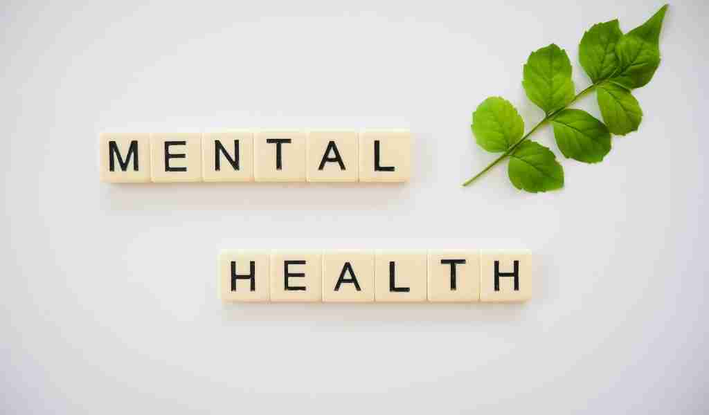 FUN MENTAL HEALTH FACTS visual data 8