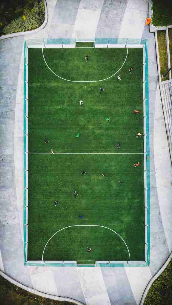 24 Fun Facts About Grass | Nature's Green Carpet 3 aerial photography of people playing soccer
