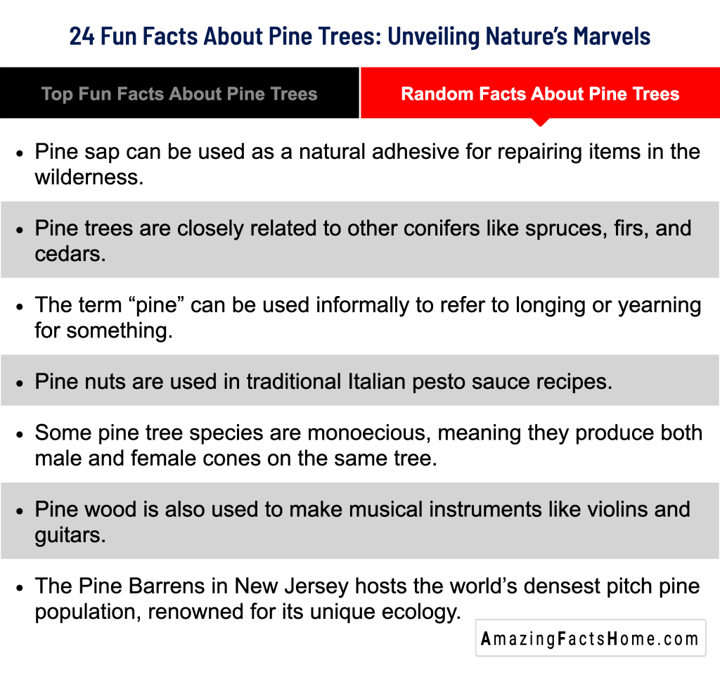 24 Fun Facts About Pine Trees: Unveiling Nature’s Marvels - Random Facts About Pine Trees