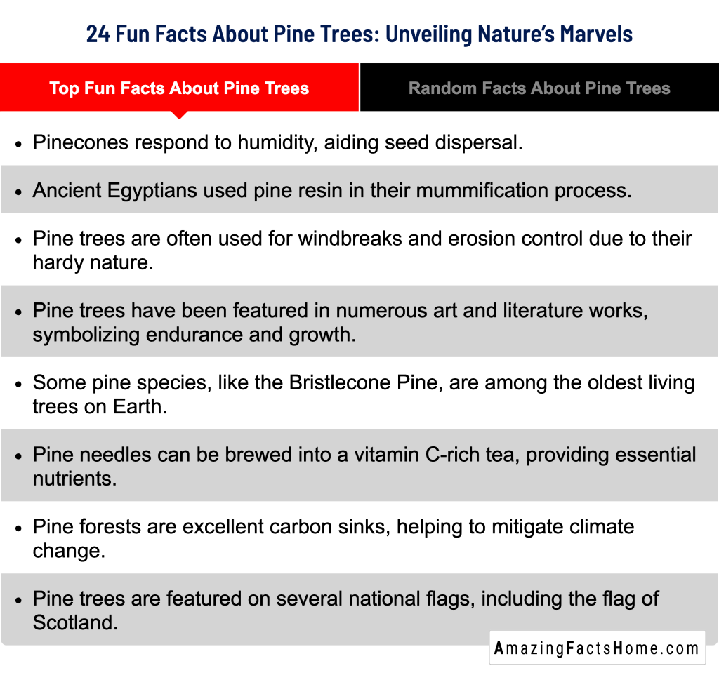 24 Fun Facts About Pine Trees: Unveiling Nature’s Marvels - Top Fun Facts About Pine Trees