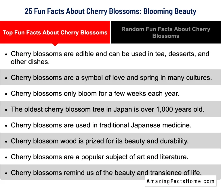 25 Fun Facts About Cherry Blossoms: Blooming Beauty - Top Fun Facts About Cherry Blossoms