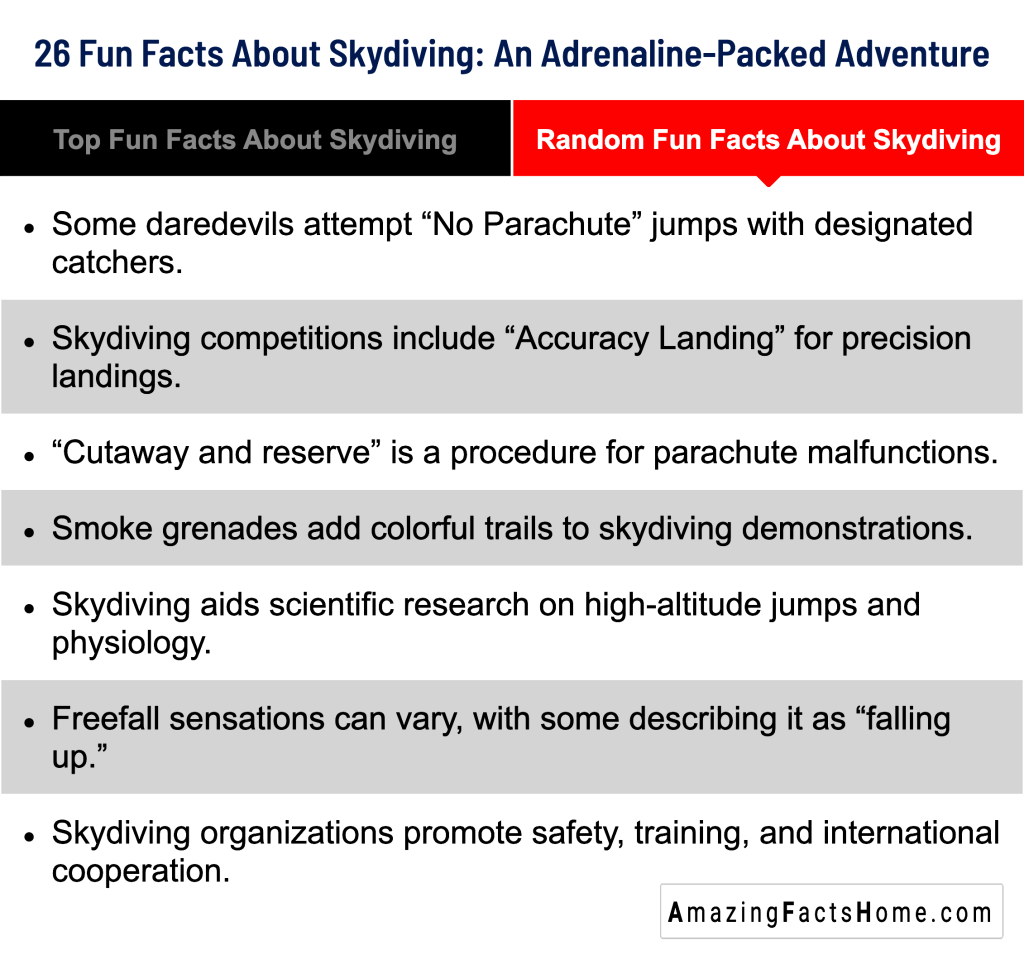 26 Fun Facts About Skydiving: An Adrenaline-Packed Adventure - Random Fun Facts About Skydiving