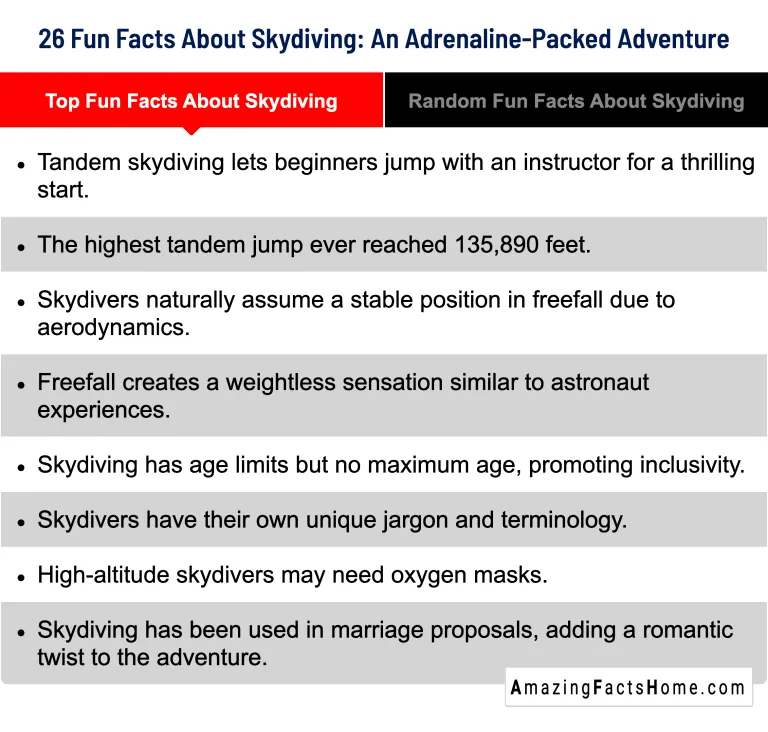 26 Fun Facts About Skydiving: An Adrenaline-Packed Adventure - Top Fun Facts About Skydiving