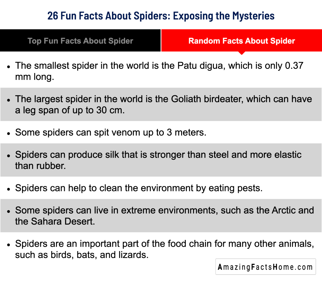 26 Fun Facts About Spiders: Exposing the Mysteries - Random Facts About Spider