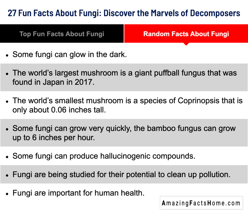 27 Fun Facts About Fungi: Discover the Marvels of Decomposers - Random Facts About Fungi
