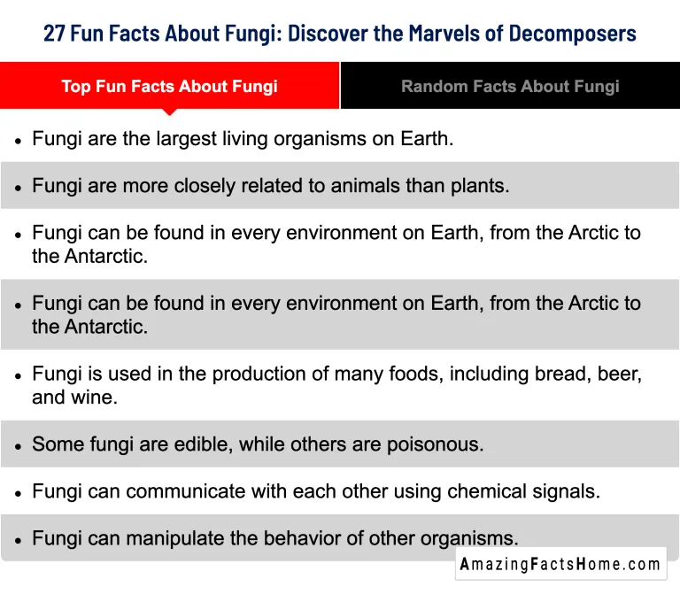 27 Fun Facts About Fungi: Discover the Marvels of Decomposers - Top Fun Facts About Fungi