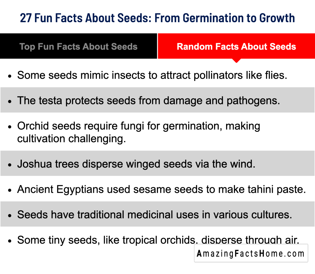 27 Fun Facts About Seeds: From Germination to Growth - Random Facts About Seeds