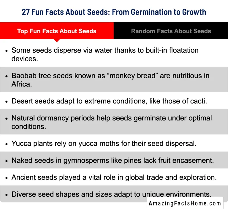 27 Fun Facts About Seeds: From Germination to Growth - Top Fun Facts About Seeds