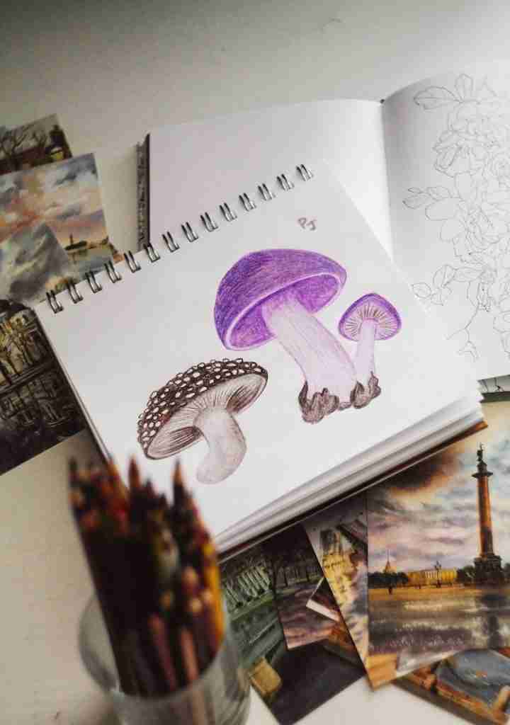 27 Fun Facts About Fungi | Marvels of Decomposers 5 purple and white bird illustration
