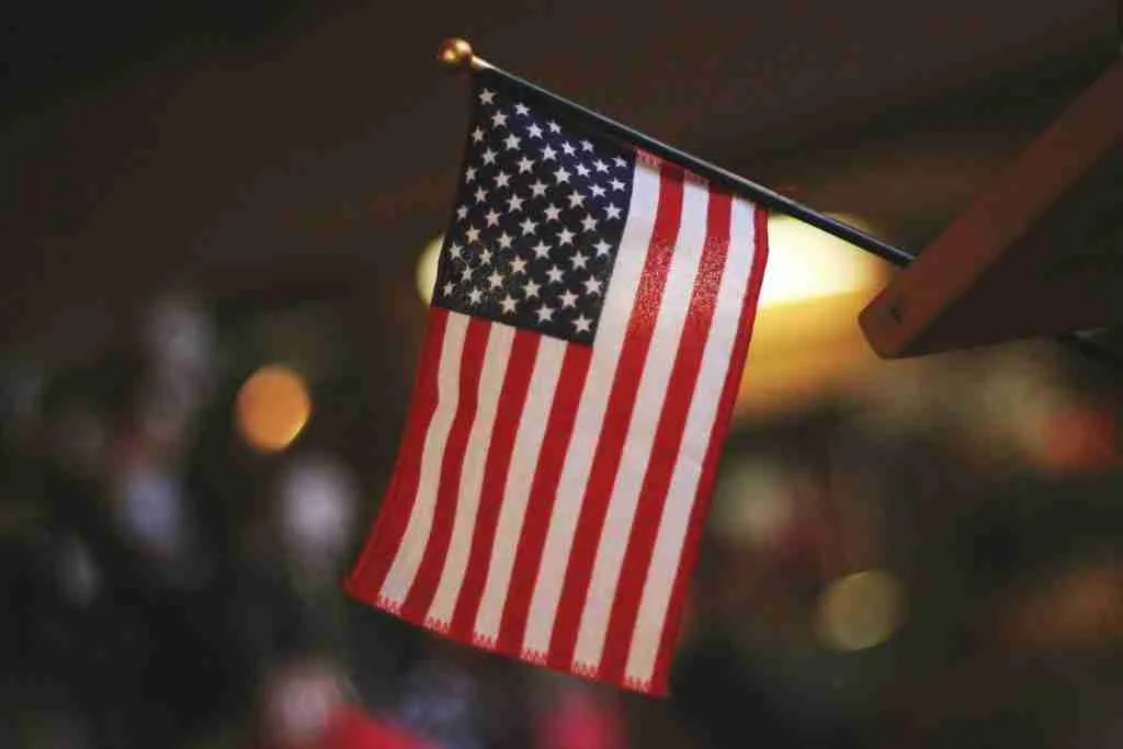 27 Fun Facts About USA | American Tales 2 selective focus photography of USA flaglet