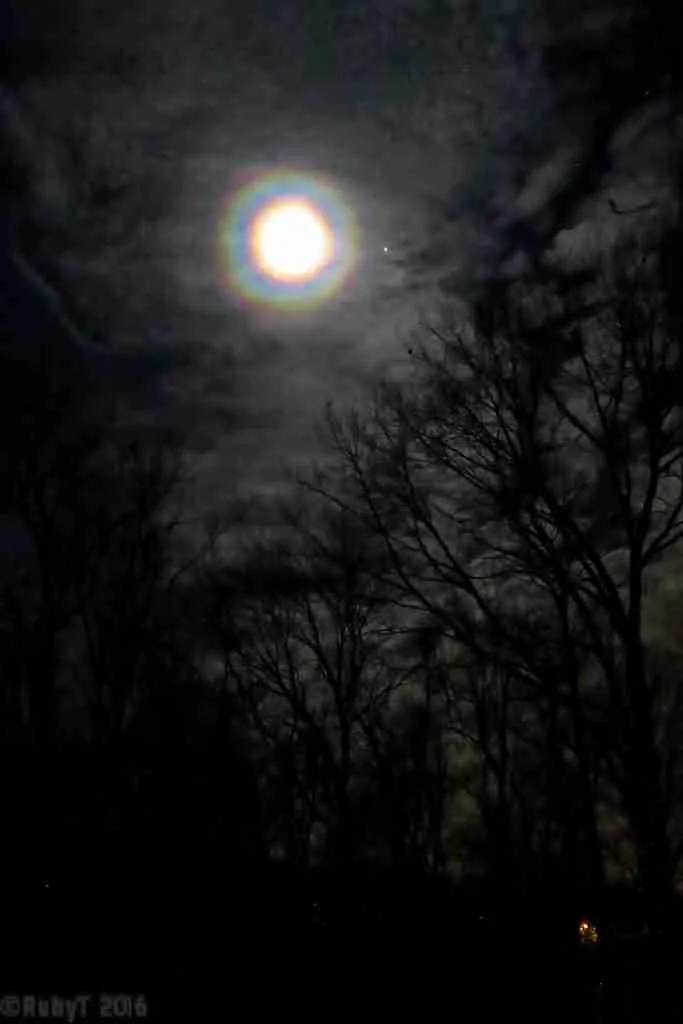 27 Fun Facts About Rain: Nature's Marvel Explained 1 Moonbow