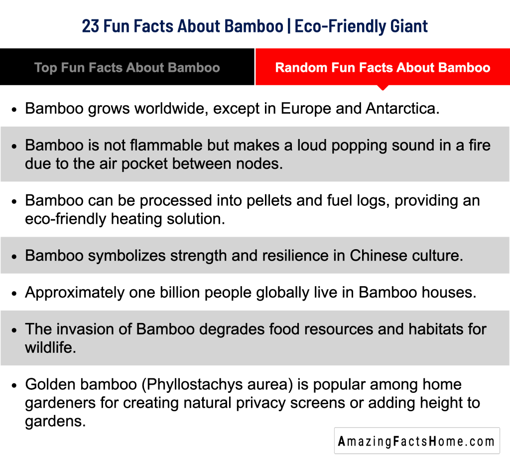 23 Fun Facts About Bamboo | Eco-Friendly Giant - Random Fun Facts About Bamboo