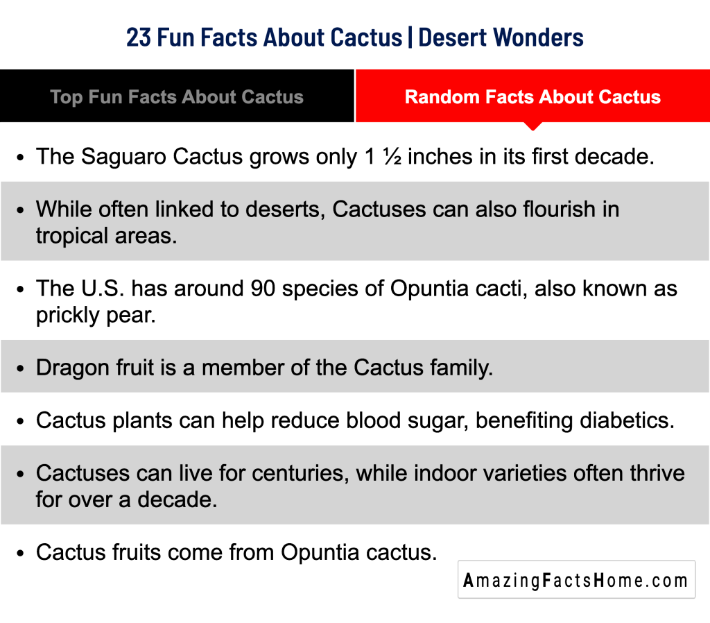 23 Fun Facts About Cactus | Desert Wonders - Random Facts About Cactus