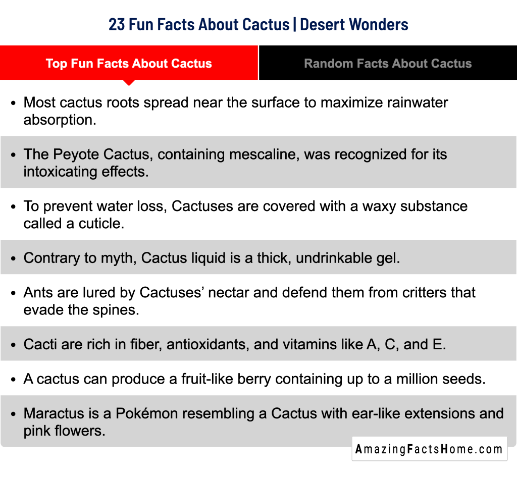 23 Fun Facts About Cactus | Desert Wonders - Top Fun Facts About Cactus