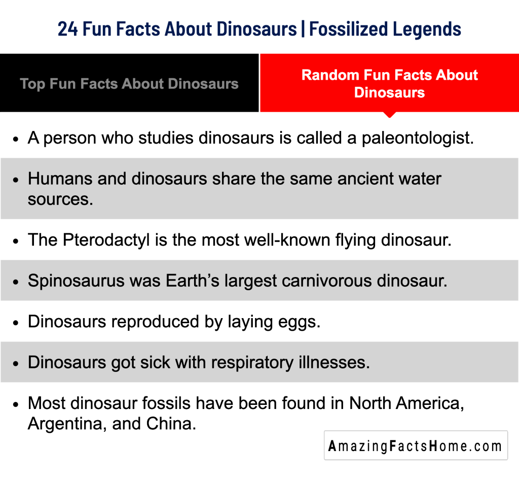 24 Fun Facts About Dinosaurs | Fossilized Legends - Random Fun Facts About Dinosaurs