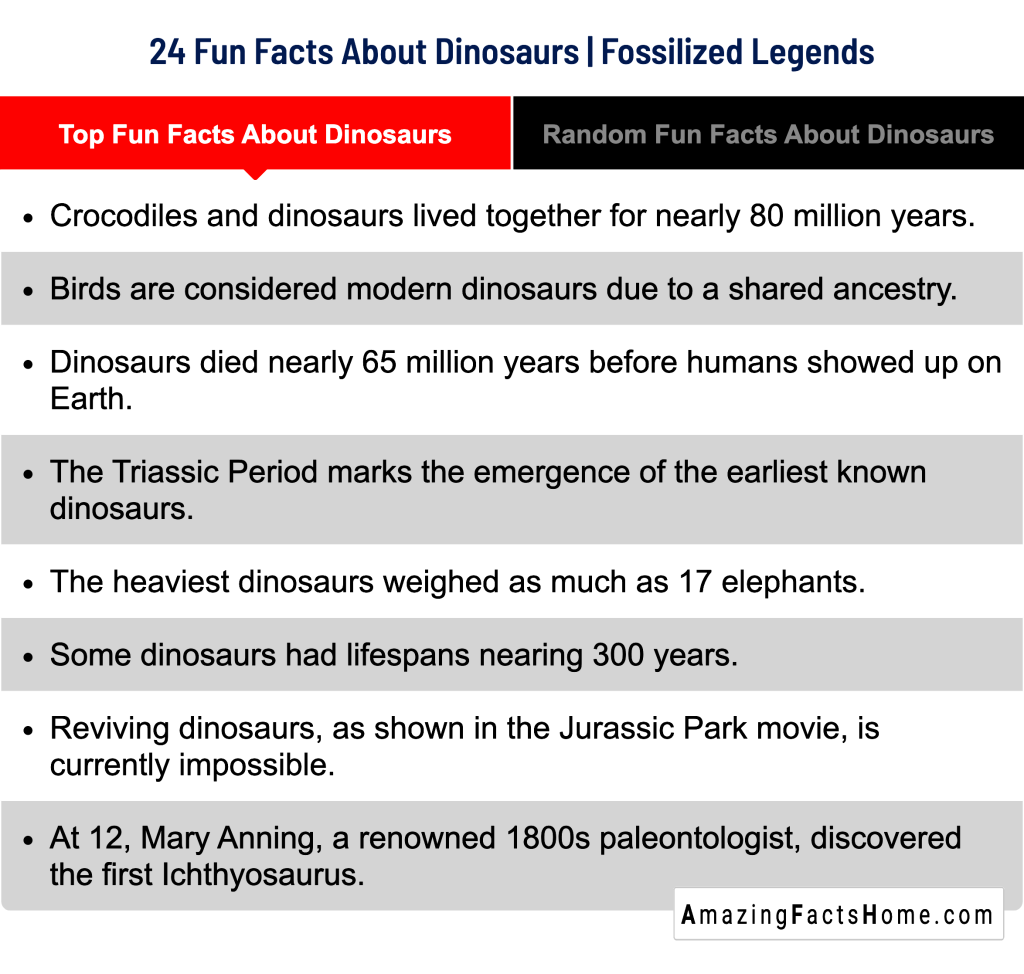 24 Fun Facts About Dinosaurs | Fossilized Legends - Top Fun Facts About Dinosaurs
