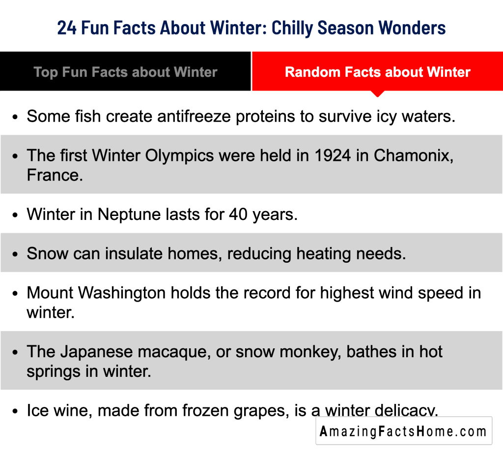 24 Fun Facts About Winter: Chilly Season Wonders - Random Facts about Winter