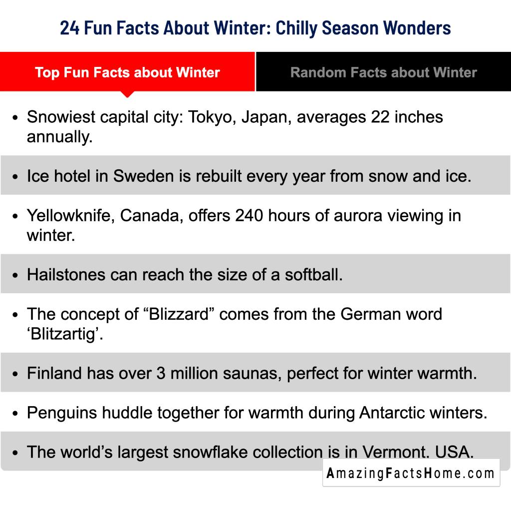 24 Fun Facts About Winter: Chilly Season Wonders - Top Fun Facts about Winter