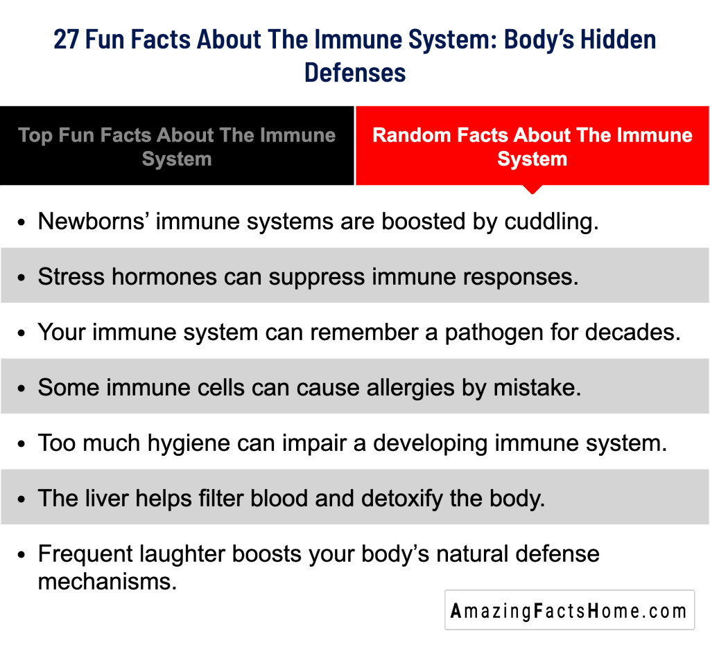 27 Fun Facts About The Immune System: Body’s Hidden Defenses - Random Facts About The Immune System
