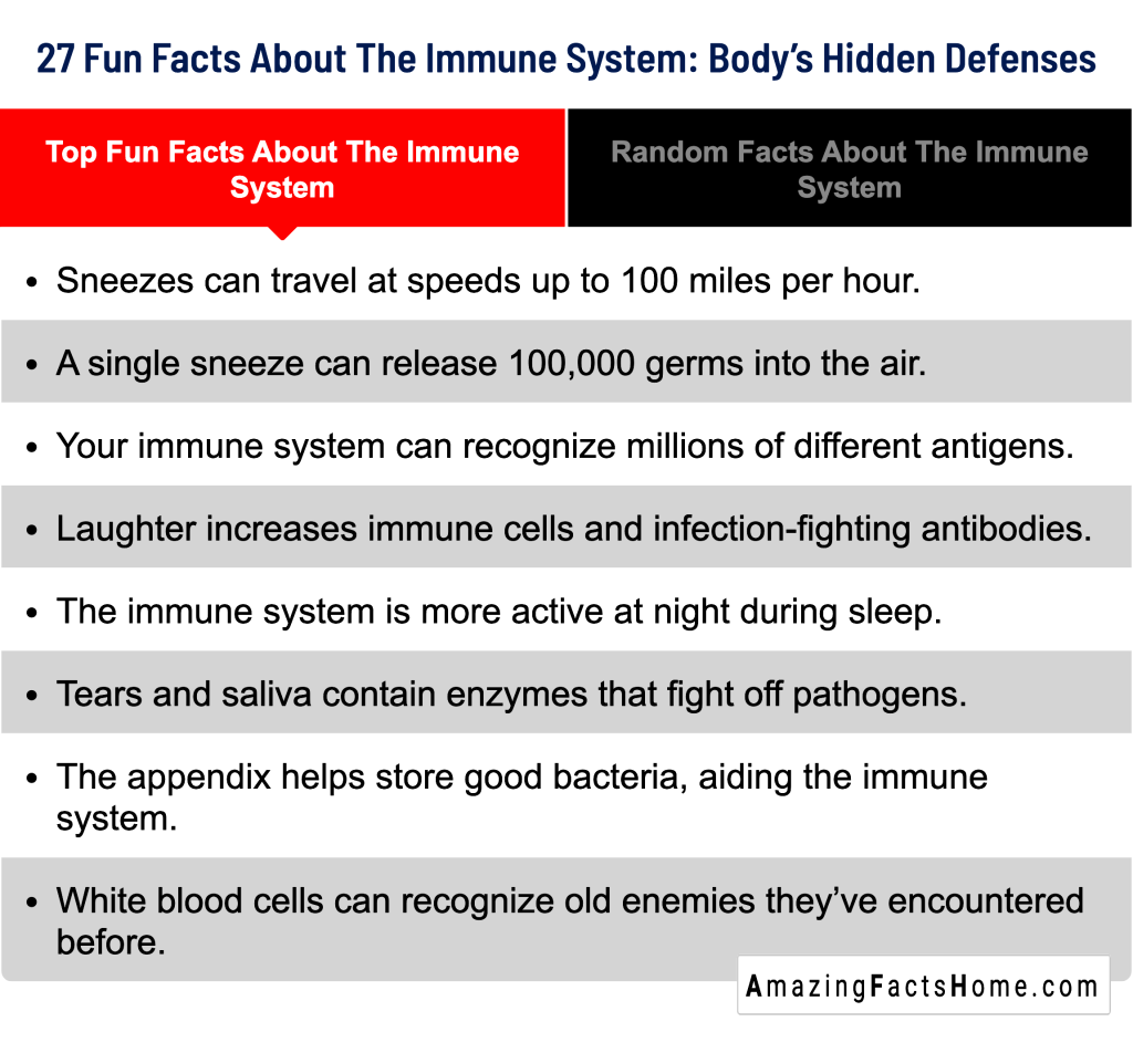 27 Fun Facts About The Immune System: Body’s Hidden Defenses - Top Fun Facts About The Immune System