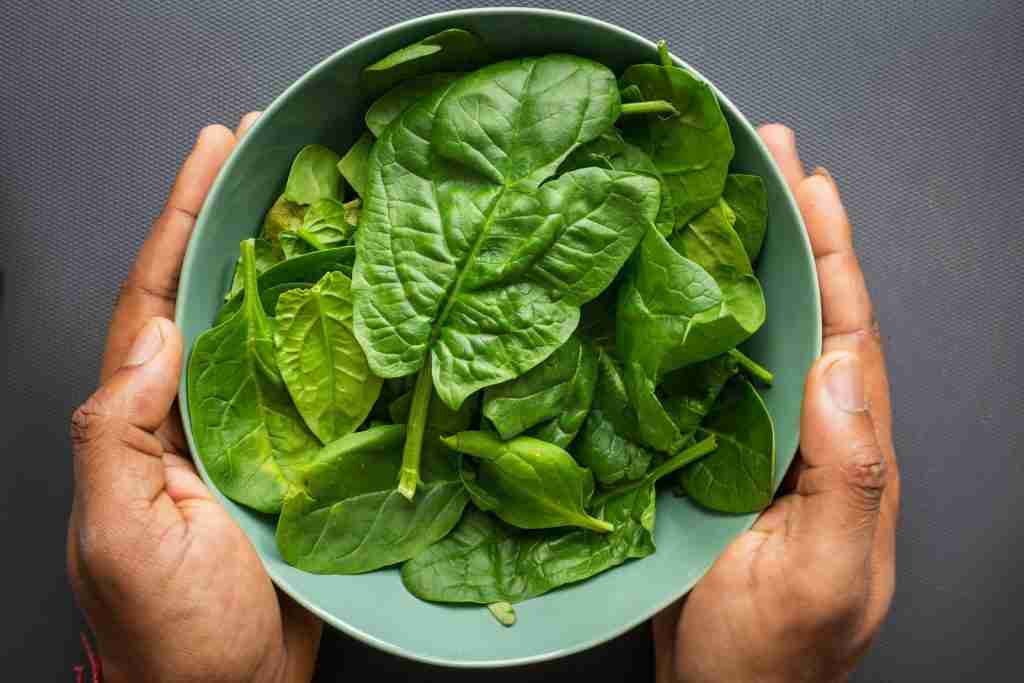 25 Fun Facts About Spinach: A Nutritious and Delightful Superfood 3 green leaves on blue plastic bowl